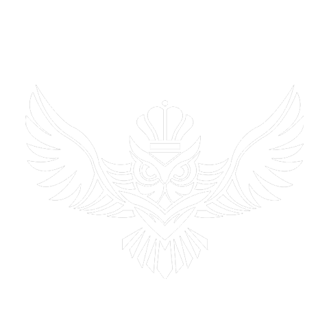 Owl Logo